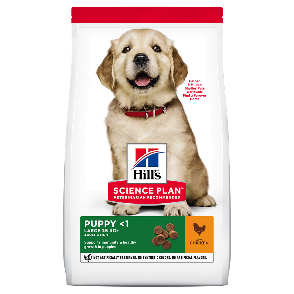 Hills Canine Large Breed Puppy Chicken Dog Food