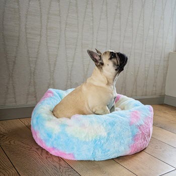 Dog's Life Calming Cuddler Rainbow