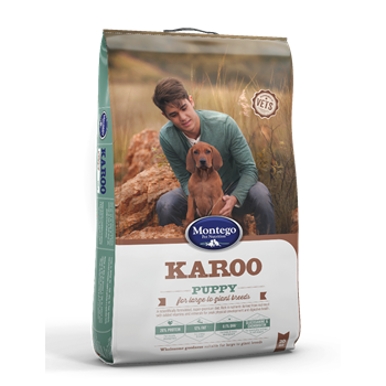 Montego large breed hot sale puppy food price