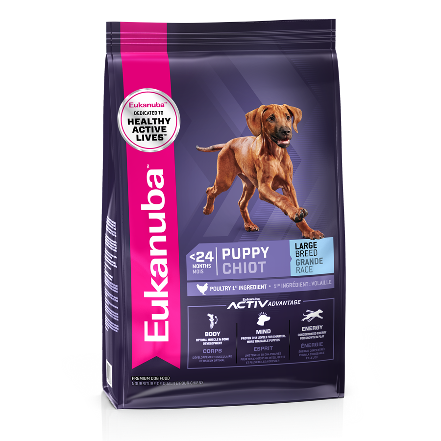 Eukanuba Puppy Large Breed Dog Food