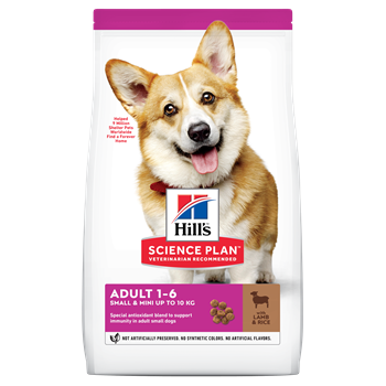 Hills Canine Small and Mini Lamb and Rice Dog Food