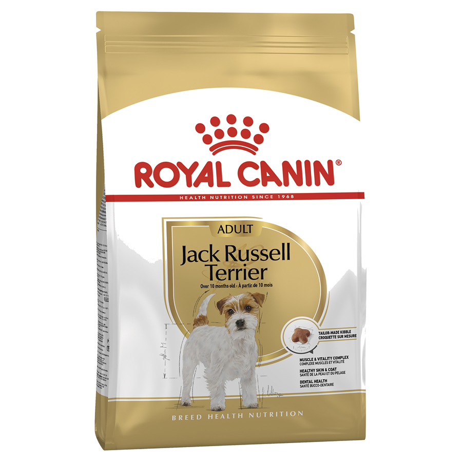 Royal canin jack 2024 russell dog food