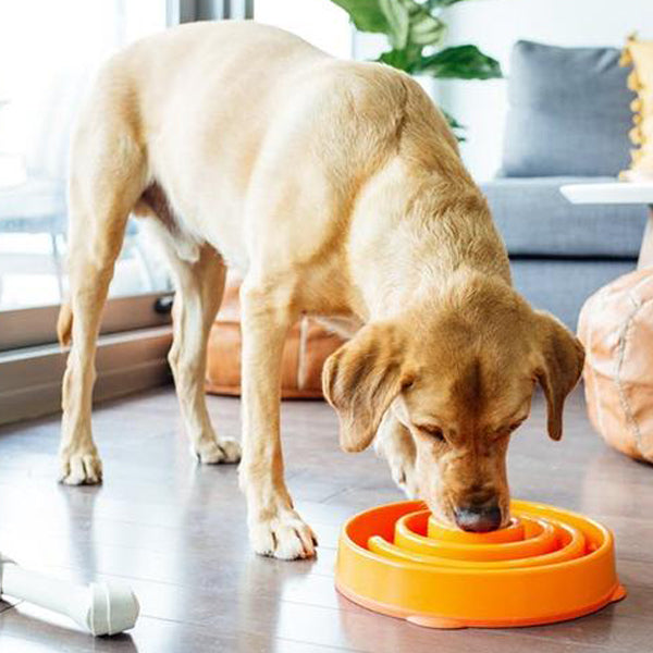 Outward Hound Fun Feeder Orange