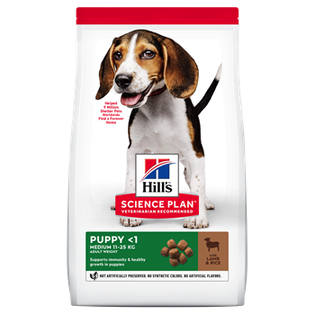 Hills Canine Puppy Medium Lamb and Rice Dog Food