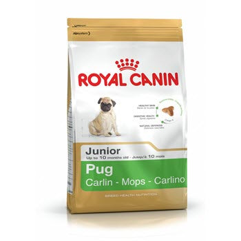 Royal Canin Pug Junior Dog Food