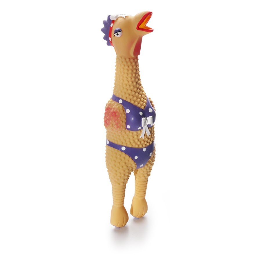 Charming Pet Squawkers Henrietta