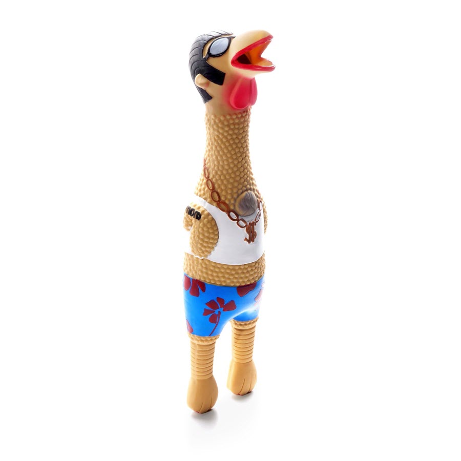 Charming Pet Squawkers Earl