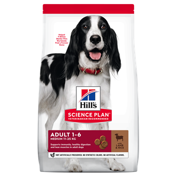 Hills Canine Large Breed Adult Lamb and Rice Dog Food