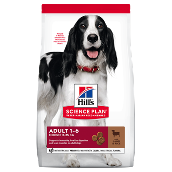 Hills Canine Adult Medium Lamb and Rice Dog Food