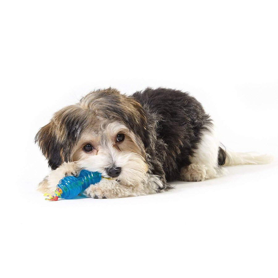 Petstages Chew Pair Petitie
