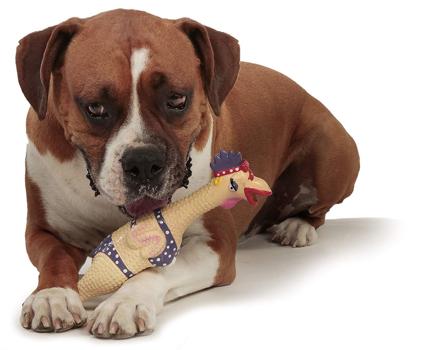Henrietta chicken dog toy cheap