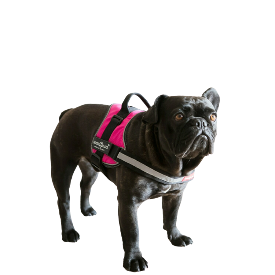 Dog's Life Active No Pull Control Handle Harness Hot Pink
