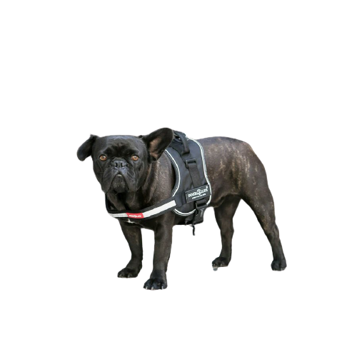 Dog's Life Active No Pull Control Handle Harness Black