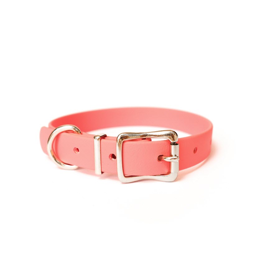 Halen Biothane Dog Collar Coral