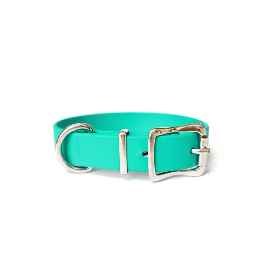 Halen Biothane Dog Collar Teal