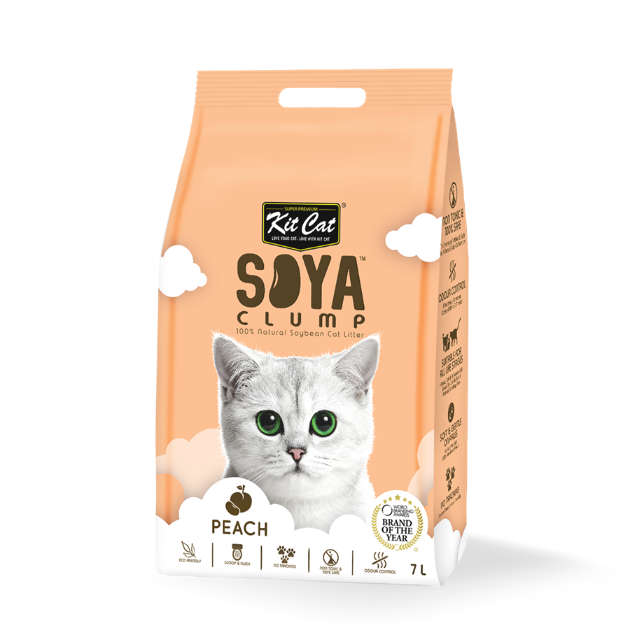 Kit Cat Soya Clump Peach