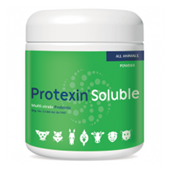 Kyron Protexin Soluble