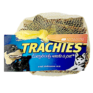 Trachies