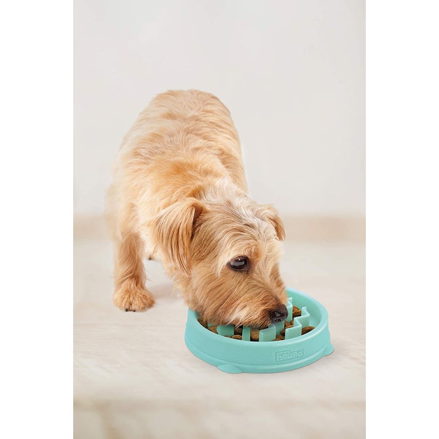 Outward Hound Fun Feeder Tiny Mint