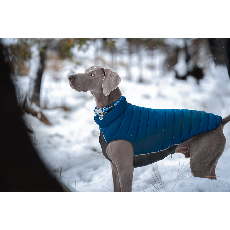 RedDingo Puffer Jacket Navy / Turquoise