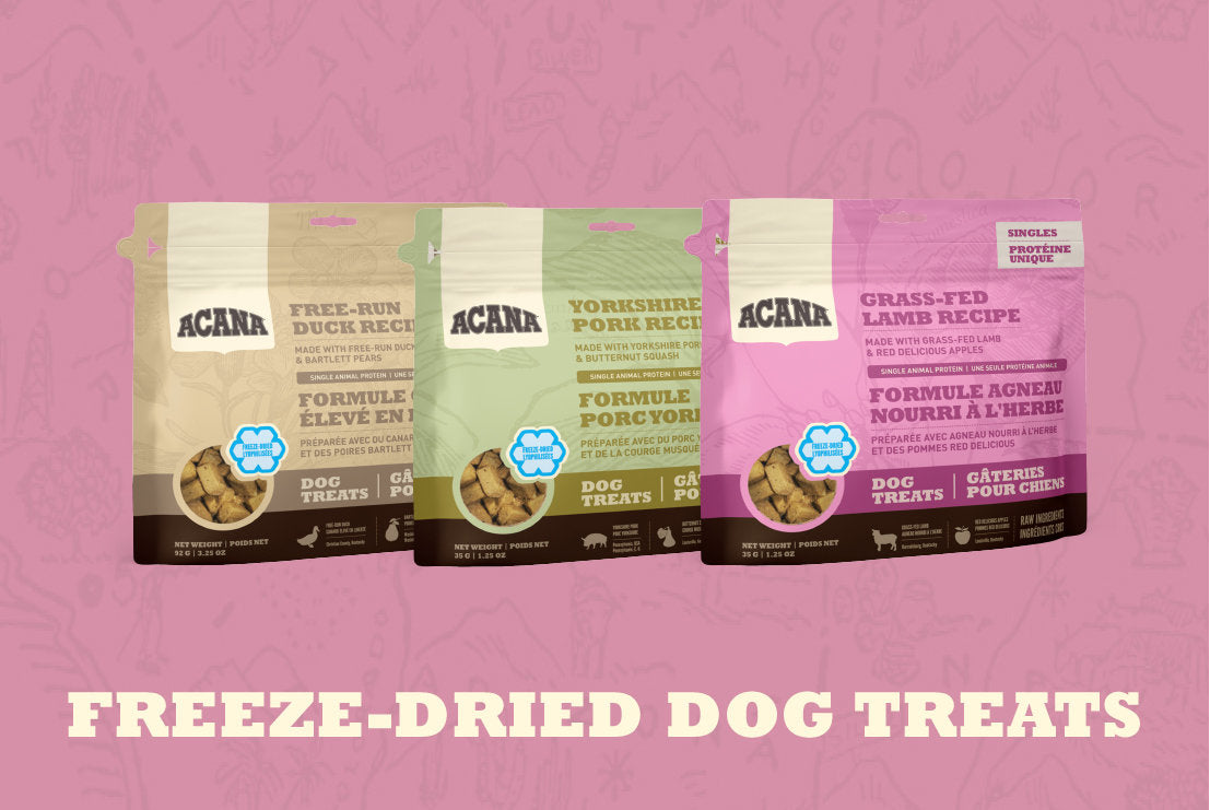 Acana Duck and Pear Free-Dried Dog Treats