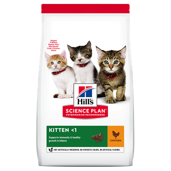 Hills Feline Kitten Chicken Cat Food