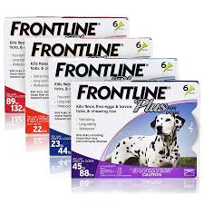 Frontline Plus for Dogs 1 Pack