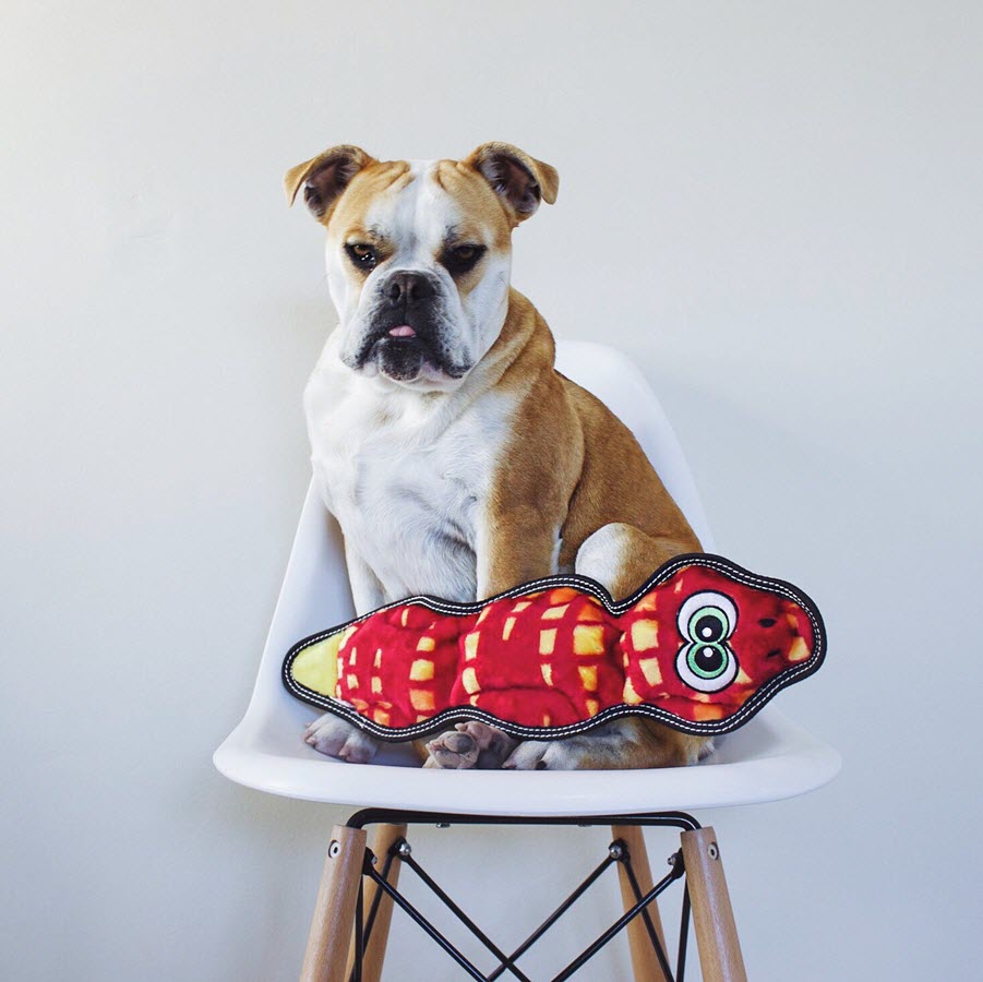 Outward Hound Invincible Toughseams Snake