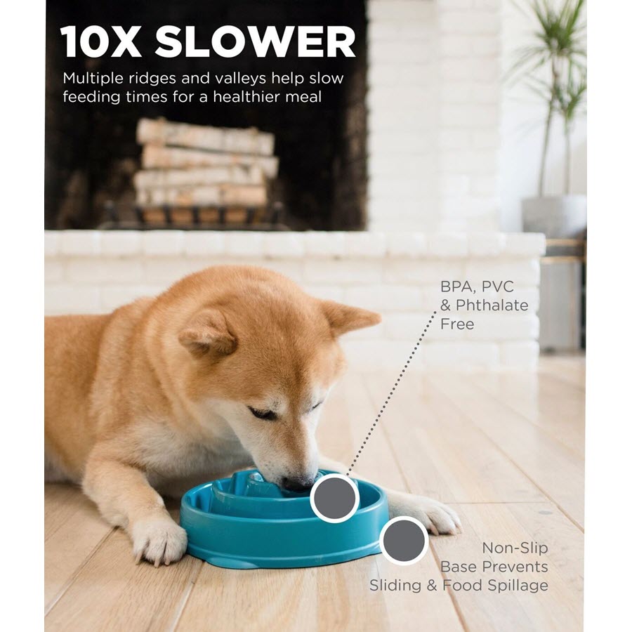 Outward Hound Fun Feeder Blue