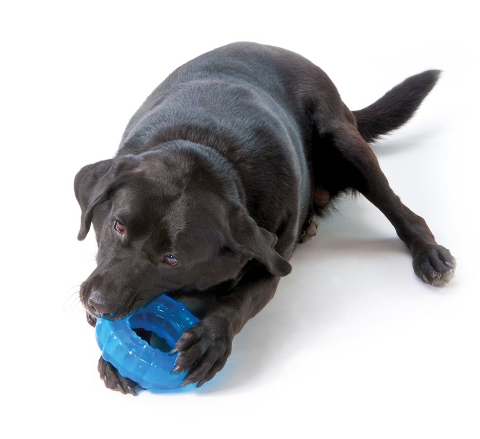 Petstages Orka Tyre