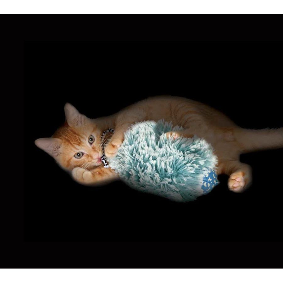 Petstages Night Time Cuddle Toy